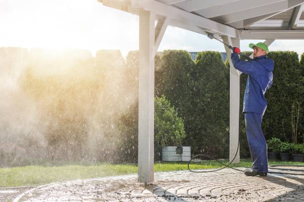 Best Sign and Awning Cleaning  in Douglas, AL