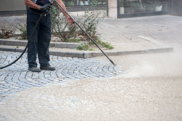 Best Pre-Holiday Cleaning  in Douglas, AL